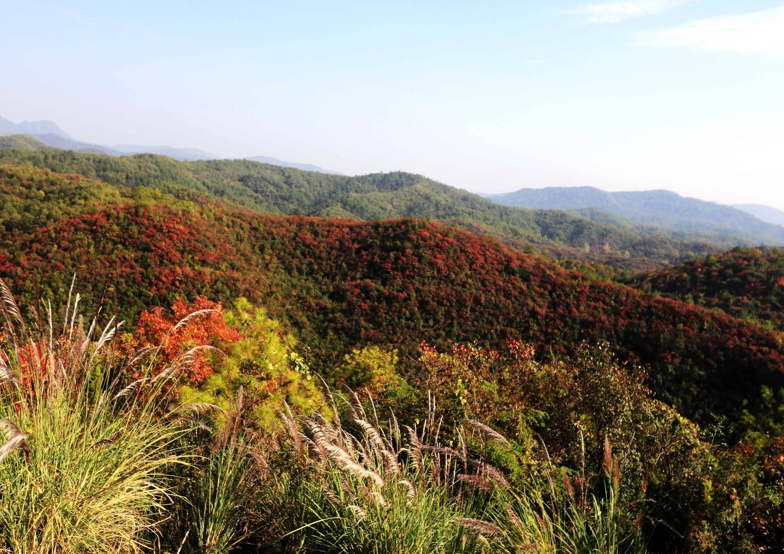 诗画湖北远安翟家岭看漫山红叶美如云霞