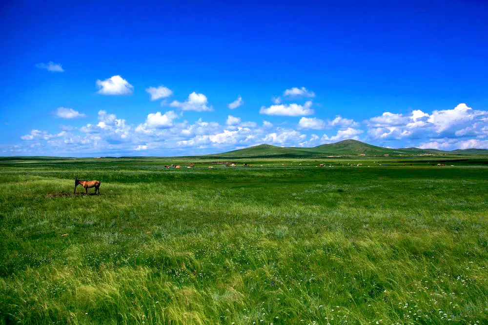 世界上最大草原图片