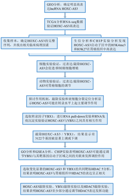 关于lncRNA，科研大神们是怎么做的？_实验