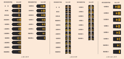 中华人民共和国消防救援衔标志式样和佩带办法