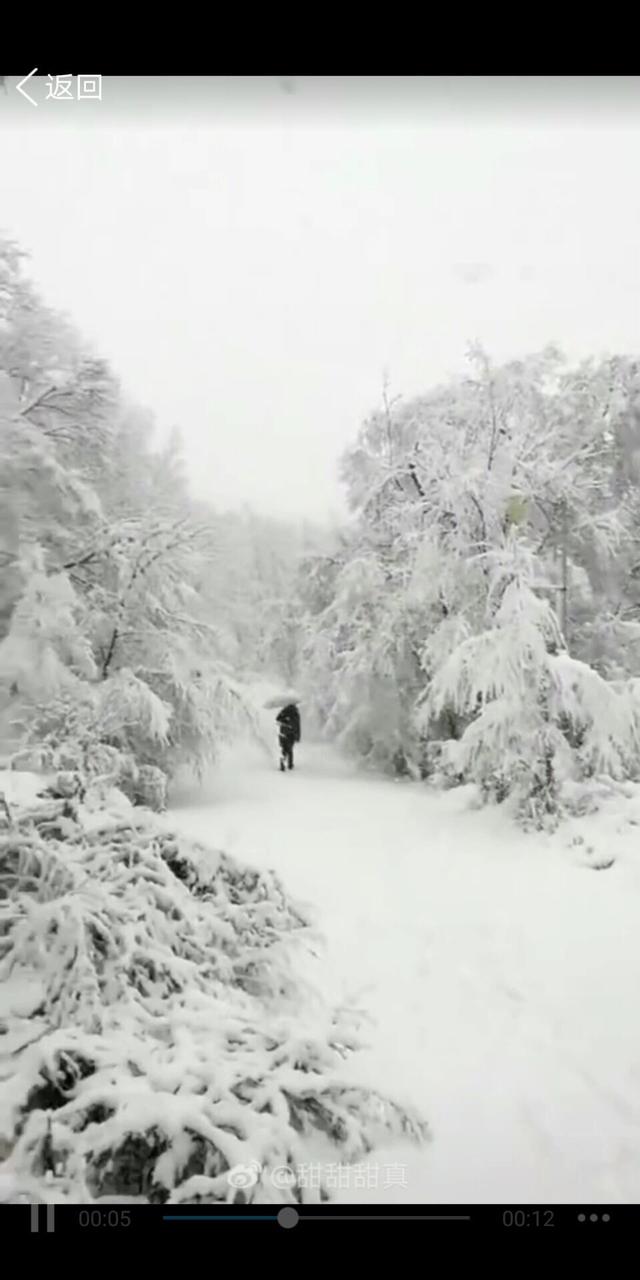 黑龙江特大暴雪图片