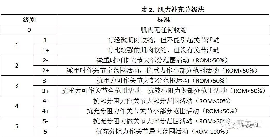 肌力分级lovett图片图片