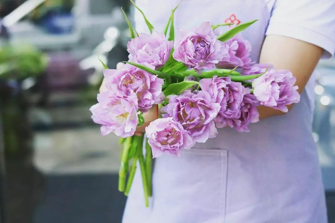 鮮花養護為什麼我養的鬱金香花期那麼短