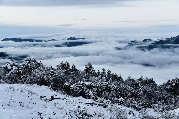 你以為只有八臺山有雪嗎?達州這個地方也有!