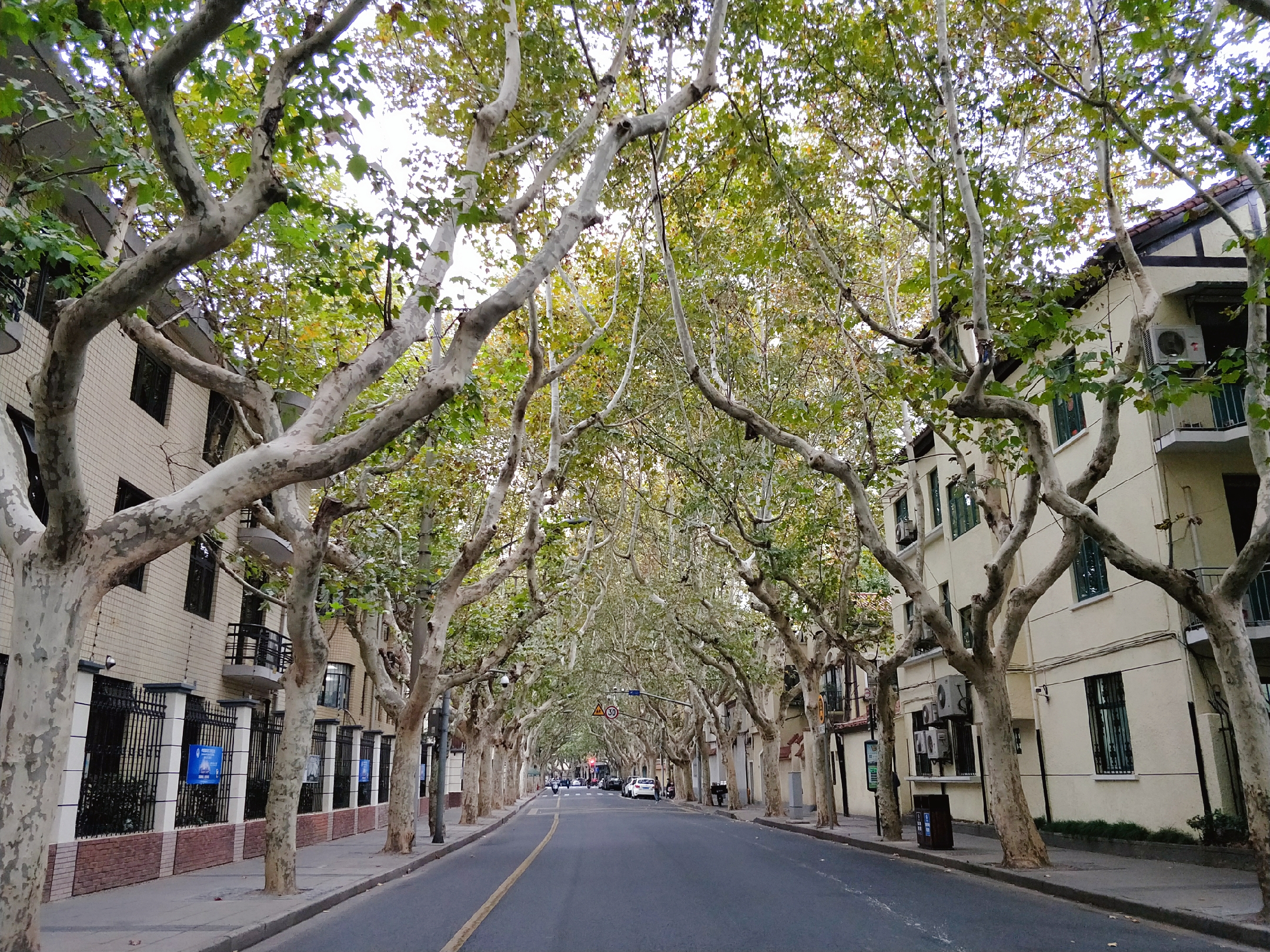 衡山路街景图片