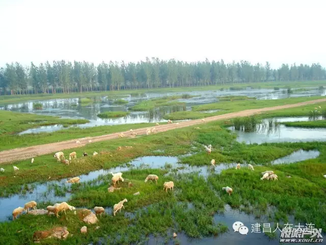 建昌县乡镇图片