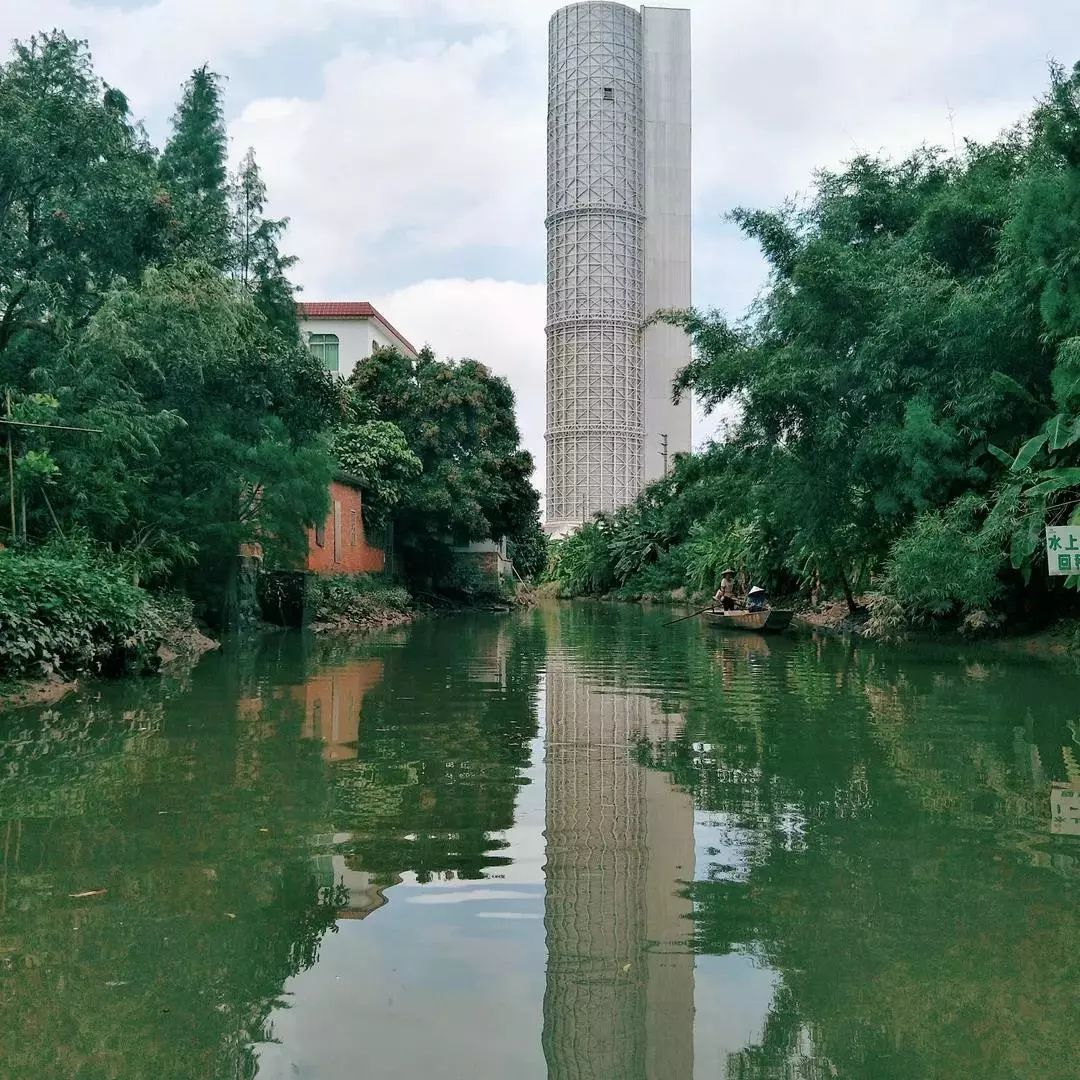 东涌绿道湿地公园图片