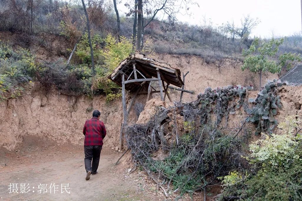 這裡是靈寶市蘇村鄉翻裡村趙家凹自然村,這個只有幾戶人家的小山村