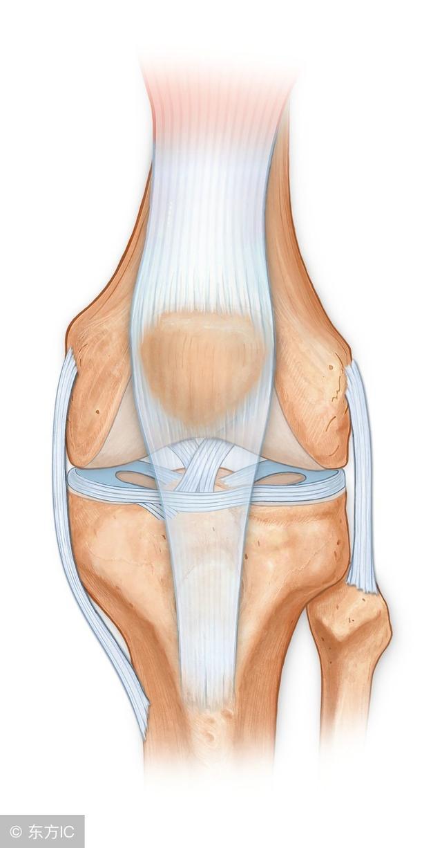 膝關節疼痛常見的22種疾病