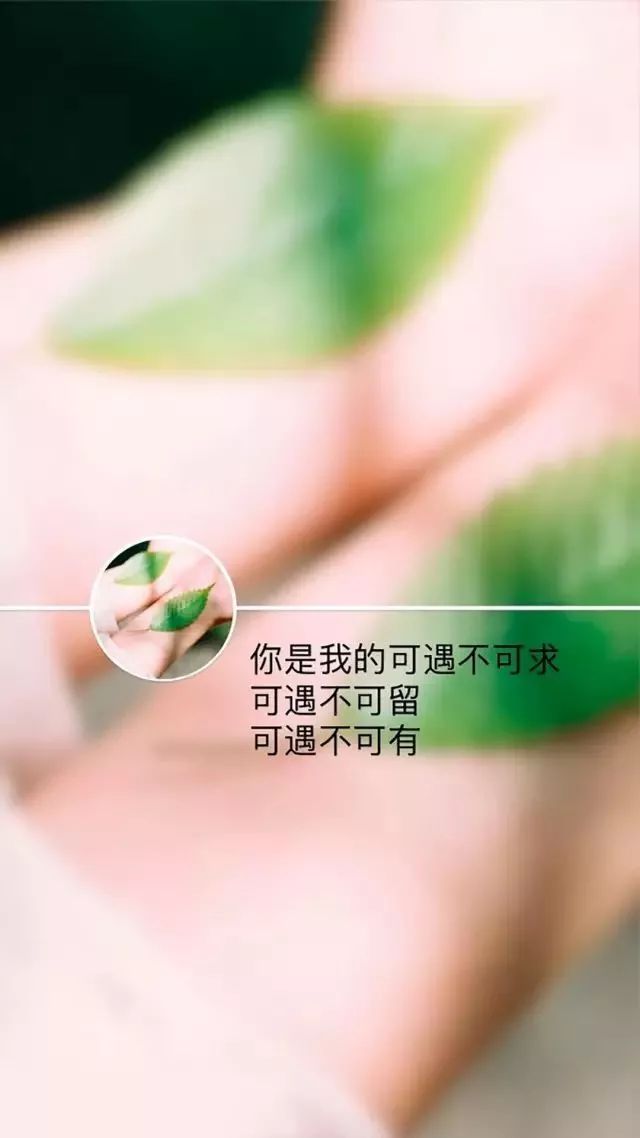 唯美文字壁纸