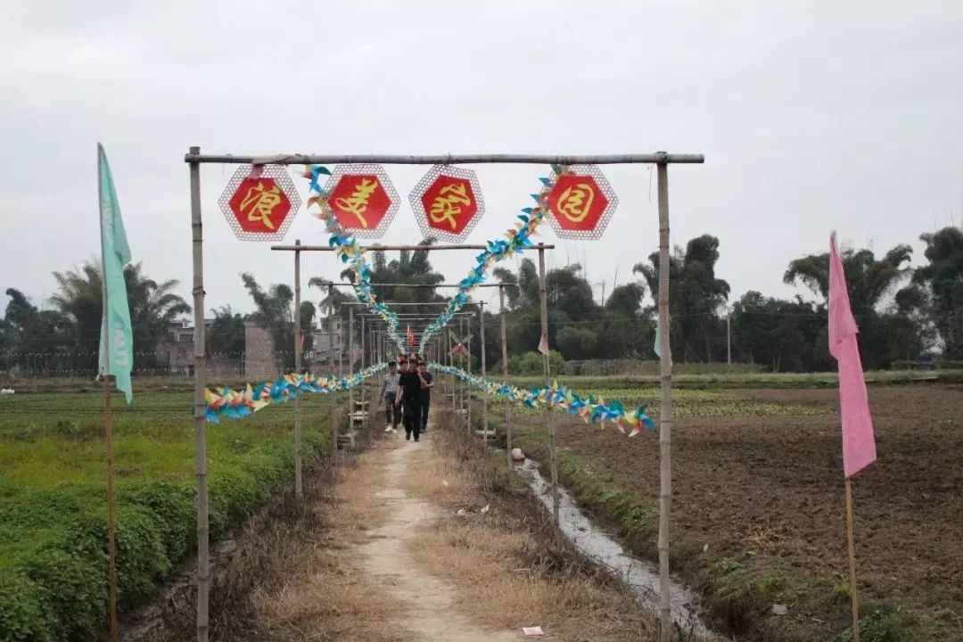 怀集美丽的乡村大岗浪美村一日游