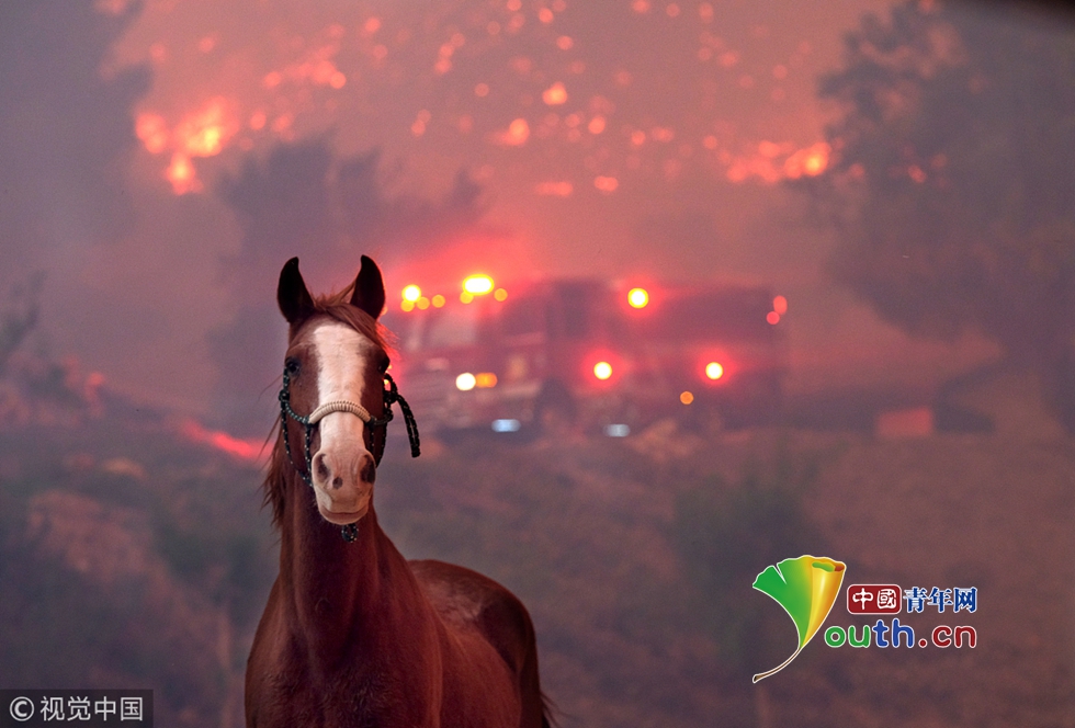 加州山火已造成5人死亡 數十萬民眾逃離「火海」 國際 第3張
