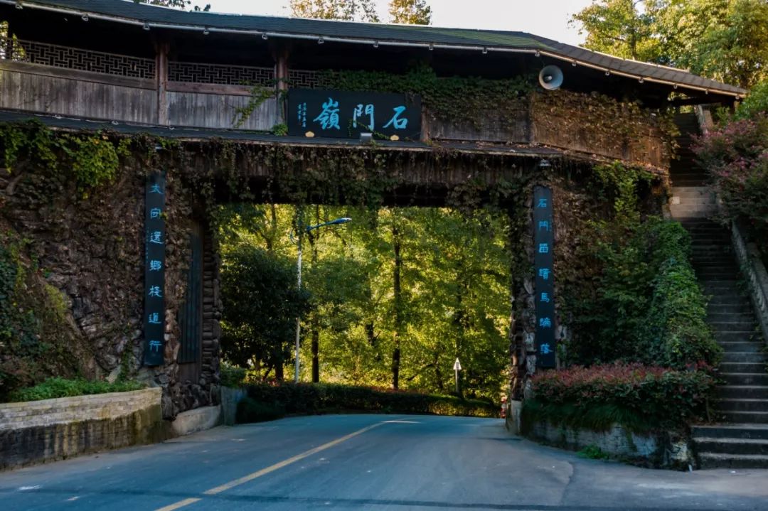 湘溪村目前共有古树28棵,千年古树4棵,2棵千年银杏坐落于王家"章街头"