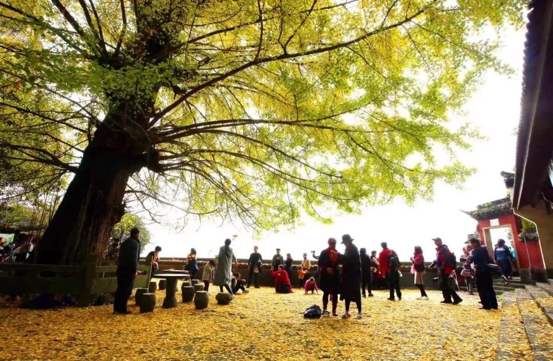 景區:浙西大慈巖景區門票:75元(線上購買)地點:浙西大慈巖景區最佳賞