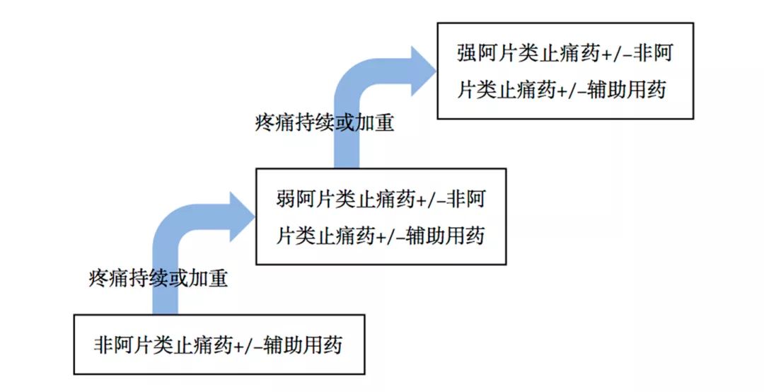 世界卫生组织(worldhealthorganization,who)制定了阶梯镇痛原则作为