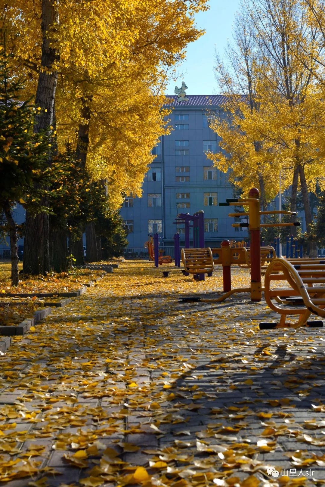 密山市第一中学图片