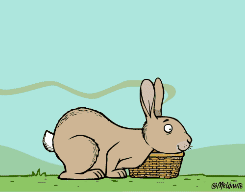 冷知识杂谈:刚出生的小兔子都要吃便便才能长大