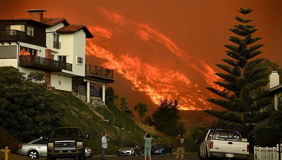 加州山火燒至明星豪宅 特朗普批評林業管理反被嗆 國際 第1張