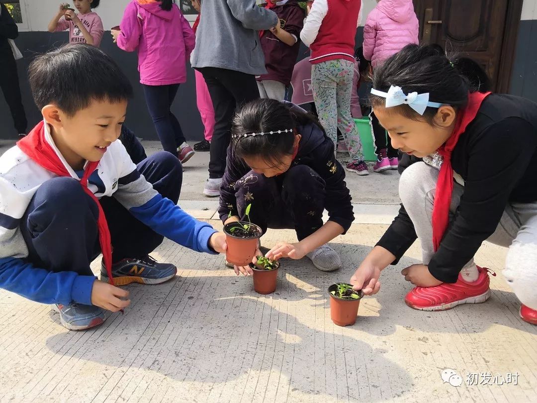 苏州市实验小学绿野村图片