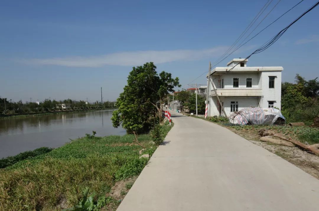 走进斗门,道路干净整洁,乡村民居错落有致,美丽田园图景跃然眼前.