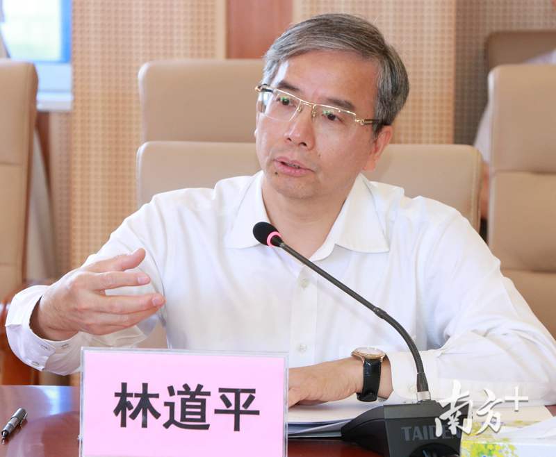 广州市副市长林道平图片