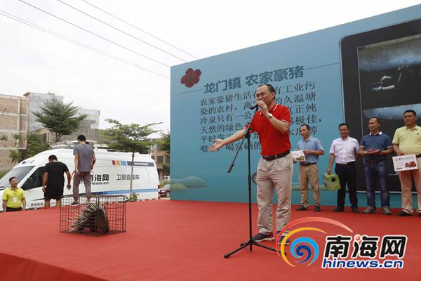 定安縣龍門鎮鎮長蘇汝成給大家推介的是農家豪豬.南海網記者 姚皓 攝