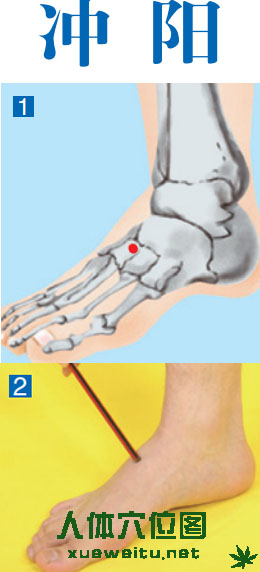 冲阳穴准确位置图功效作用和针刺艾灸按摩推拿法