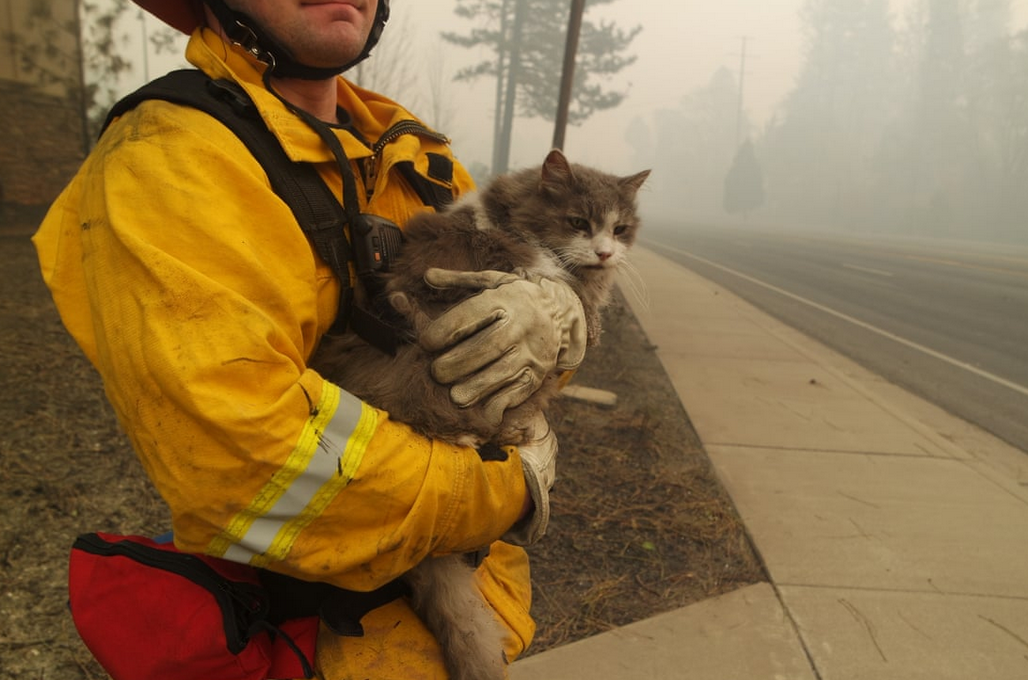 加州山火死亡人數升至23人 特朗普斥森林管理"糟糕" 國際 第4張