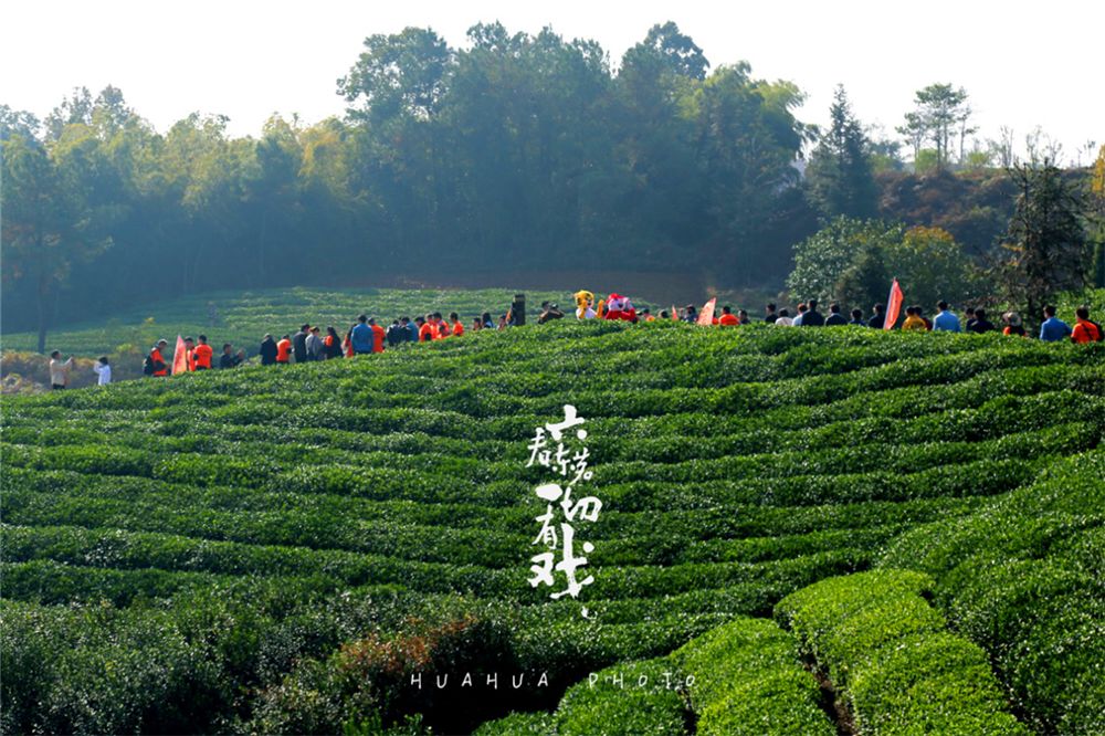 六看东茗一切有戏新昌东茗乡举办2018茶韵风情节