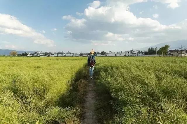 最佳拍摄点:喜洲古镇民居,绿油油的麦田或金灿灿的稻田,阡陌的田间