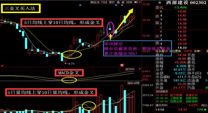 股票三金叉图解图片