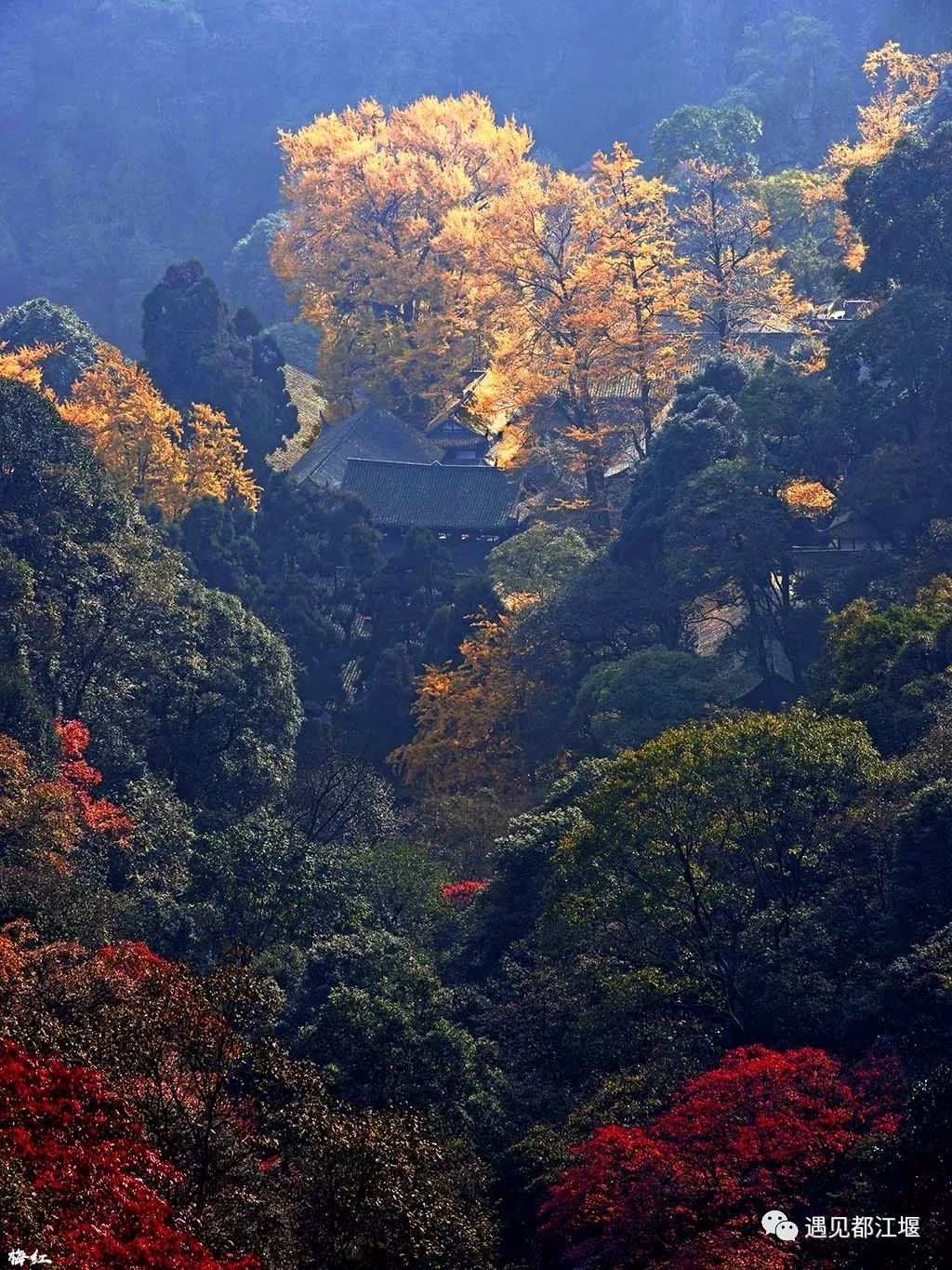 青城山手机壁纸图片