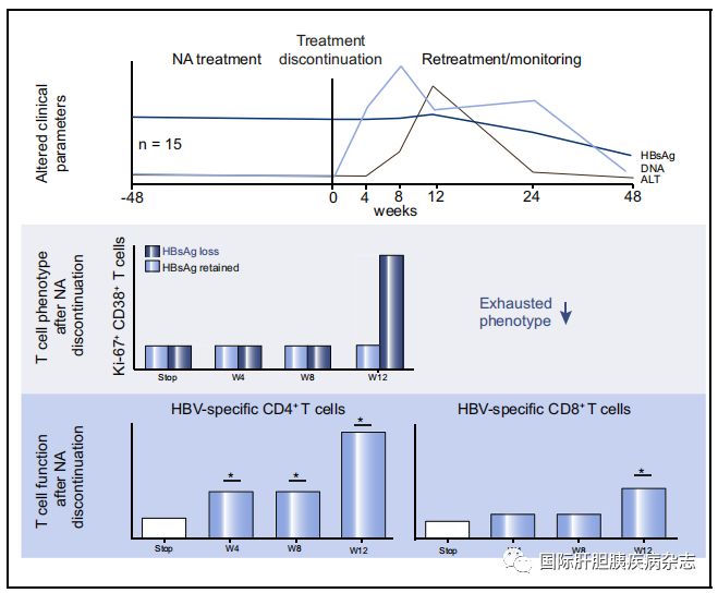 journal of hepatology丨hbeag陰性慢乙肝患者停止核苷酸類似物治療後