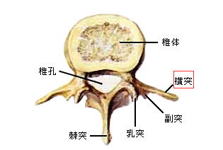 有的患者是眼眶,太阳穴痛,有的人是后脑勺痛,医生会找到负责管理这