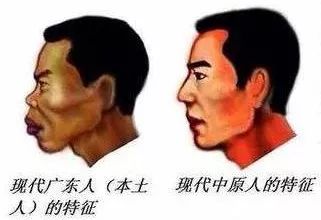 广东人叫白鼻子的图片图片