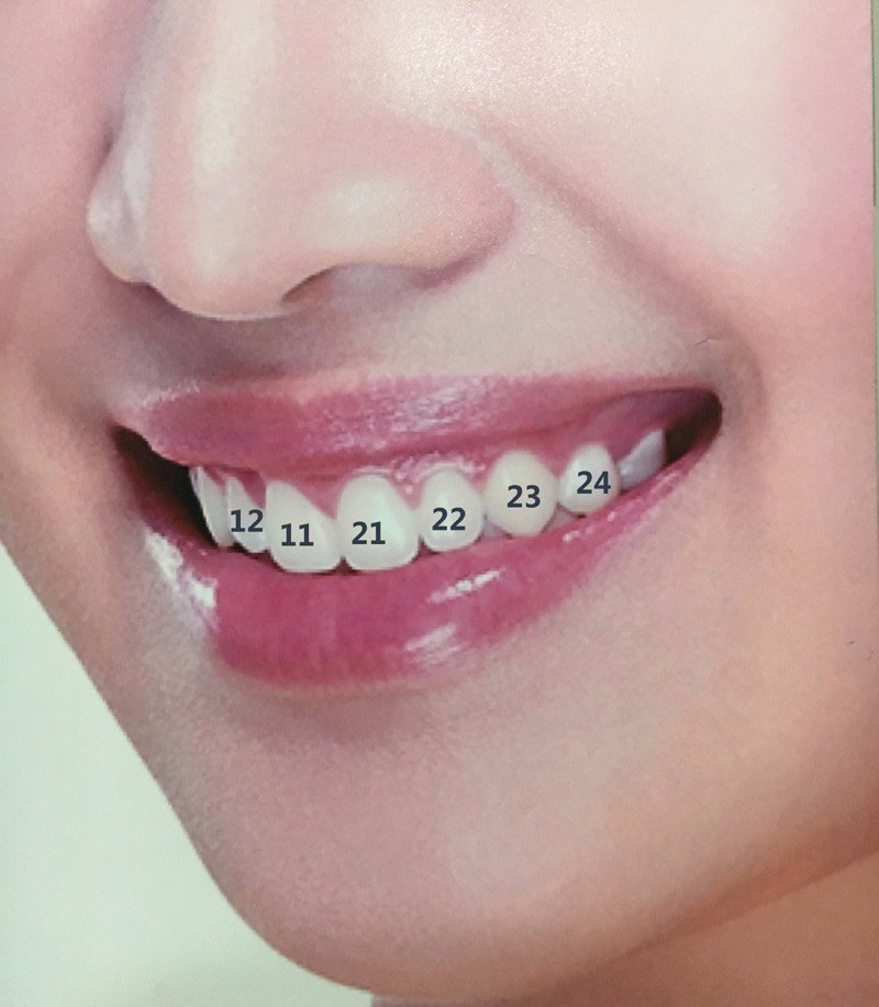 如何精确描述牙齿的位置?