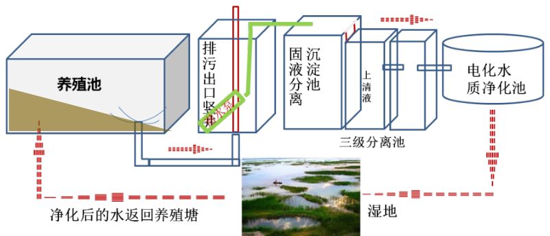 鱼塘底自动排污水图图片