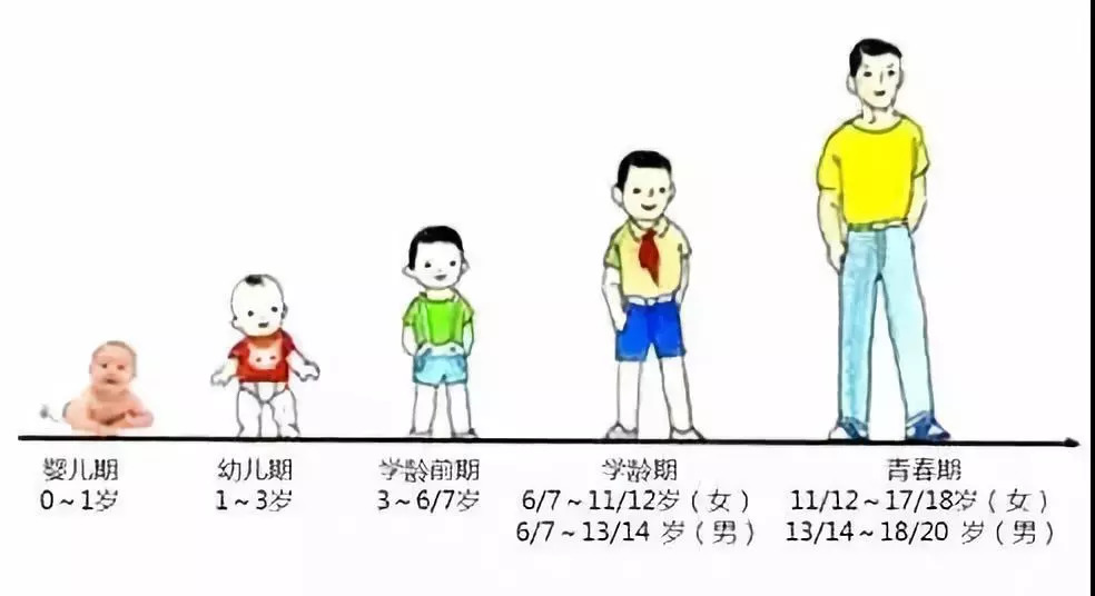 1米8和1米6身高对比照图片