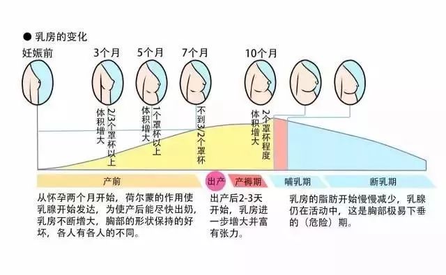 乳腺科医生谈乳房保健