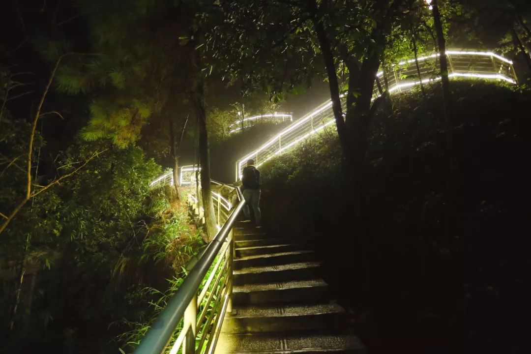 不僅好看還實用,天黑也不怕,在夜晚行走感受山中的寧靜,浮躁的心情也