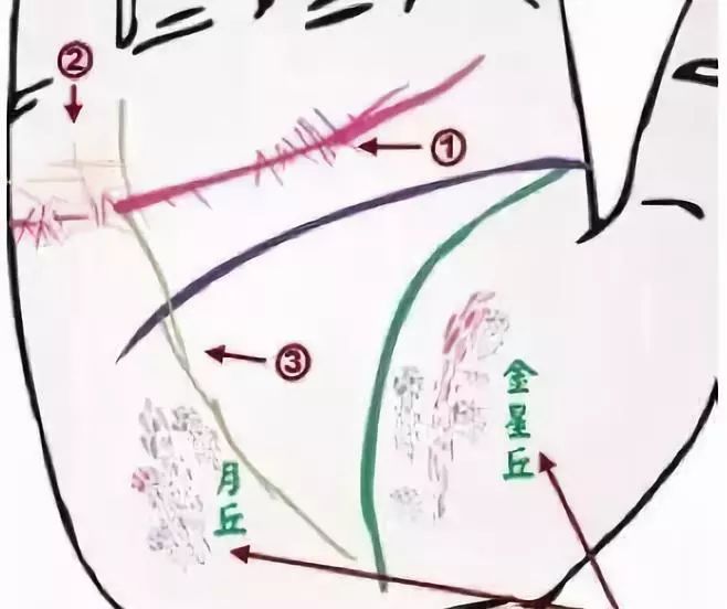 24種手診圖揭示你的身心健康