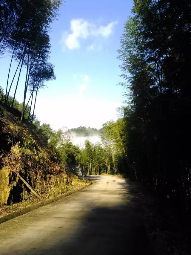 連雲村 明溪縣蓋洋鎮湖上村 明溪縣夏陽鄉紫雲村 清流縣沙蕪鄉鐵石村