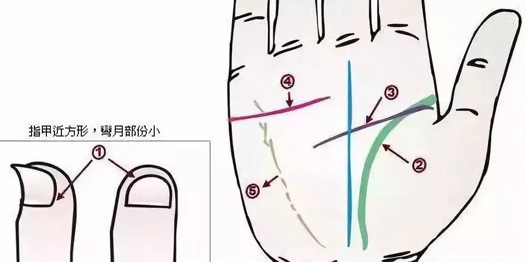 24種手診圖揭示你的身心健康