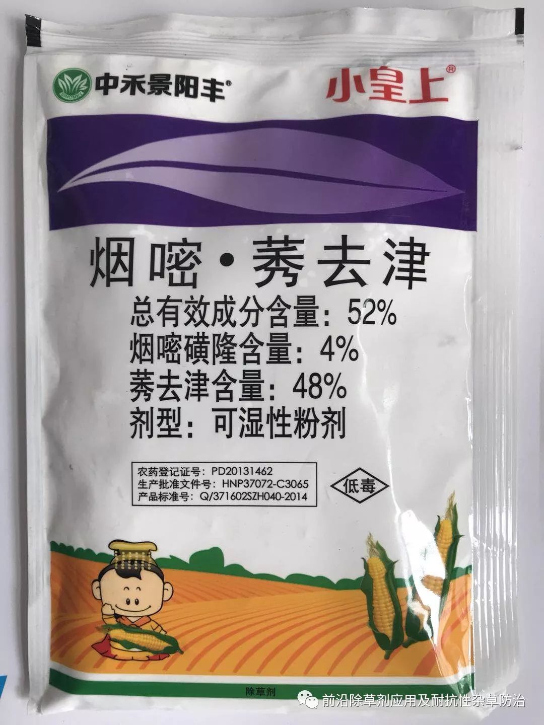 景阳182玉米品种图片