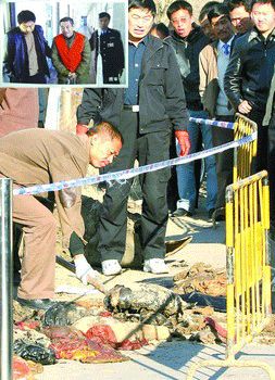 中国大案纪实:沈阳15名舞女被杀案