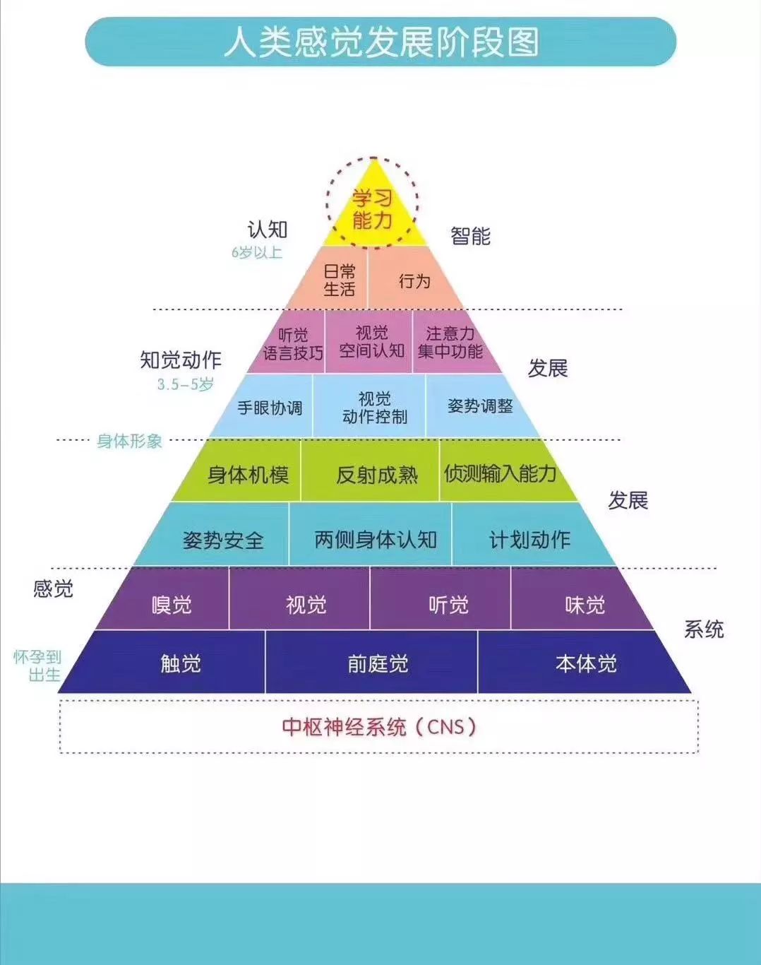 接下来我们用几张图具体形容感统的要点★前庭觉-喜欢学习 还要学的