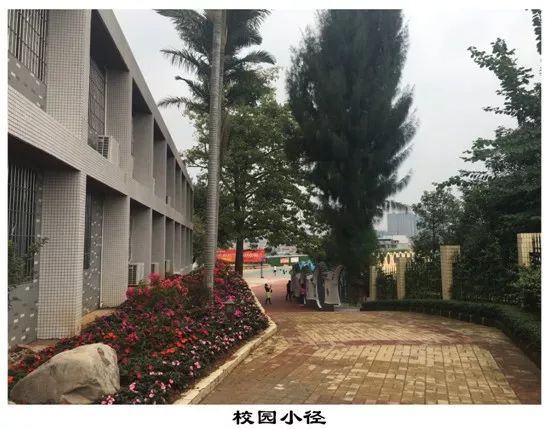 广州增城郑中钧中学图片