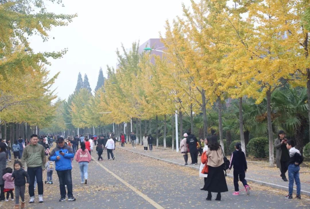 與三五好友約在皖西學院的校園,來個不見不散的約會,尋覓美好的風景