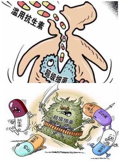 吃什麼可以預防尿路感染