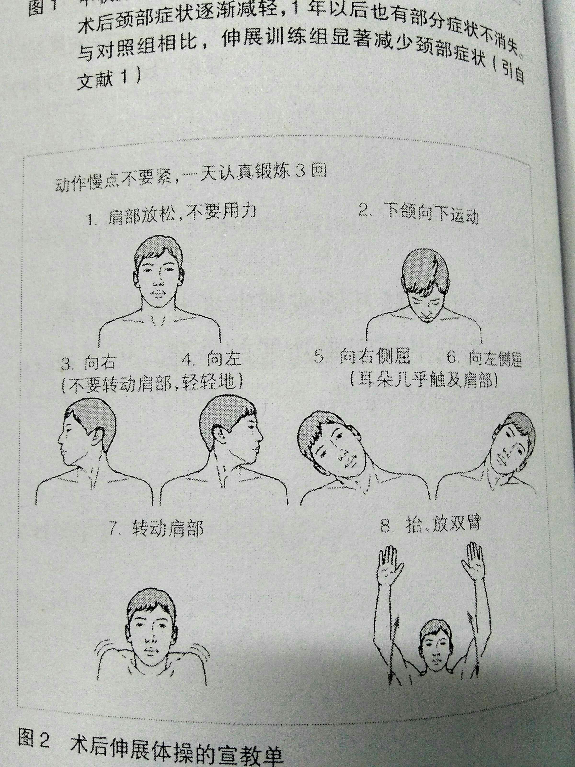 颈部肌肉锻炼方法图片